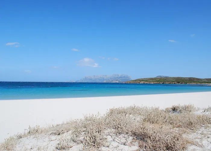 Luna Lughente Hotel Olbia